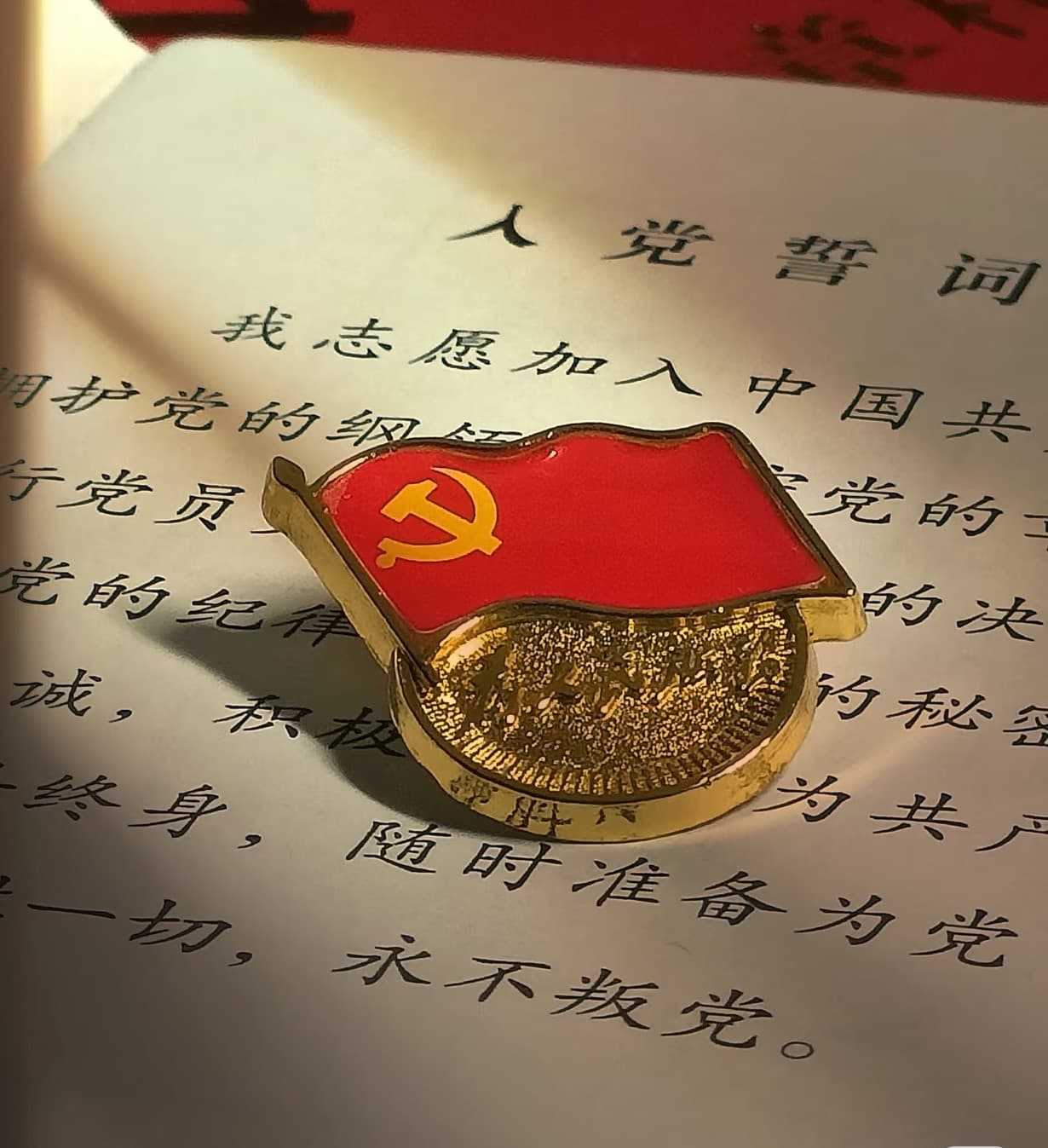 党员背景照片